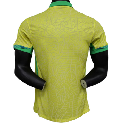 Brazil 2024/25 (Home)