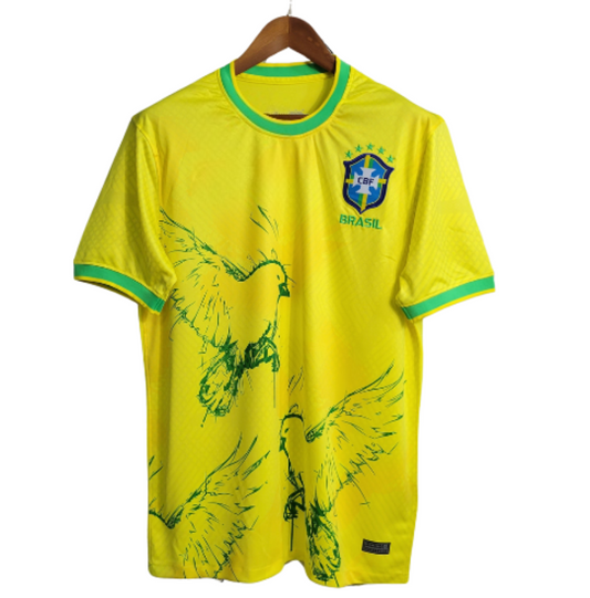 Brazil Birds Concept