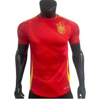 Spain 2024/25 (Home)