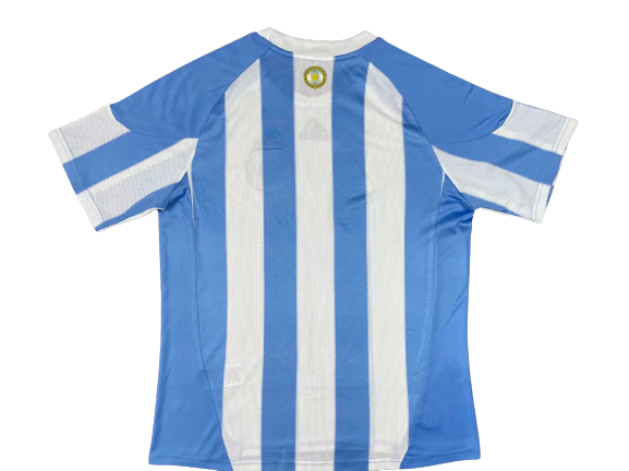 Argentina 2010 (Home)